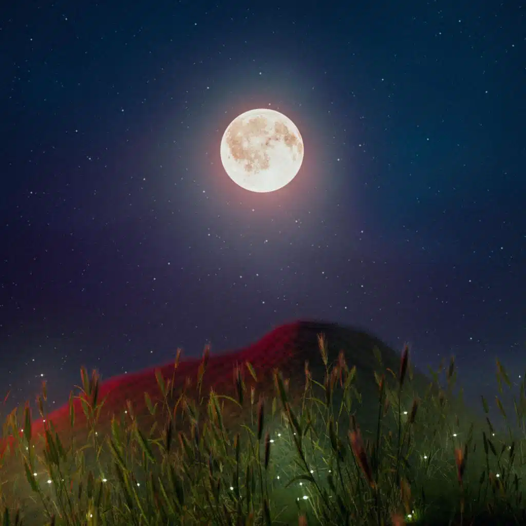 Moonplan