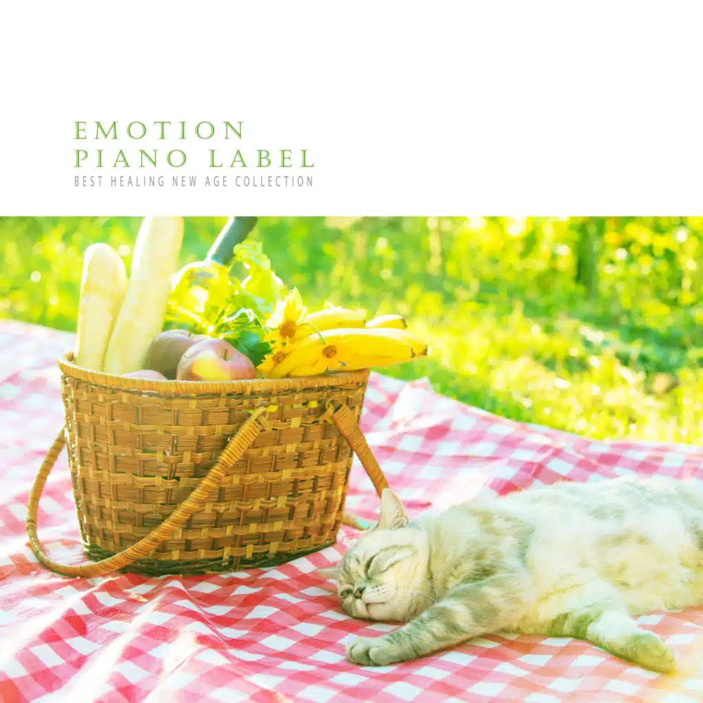 Close Your Eyes And Feel The World