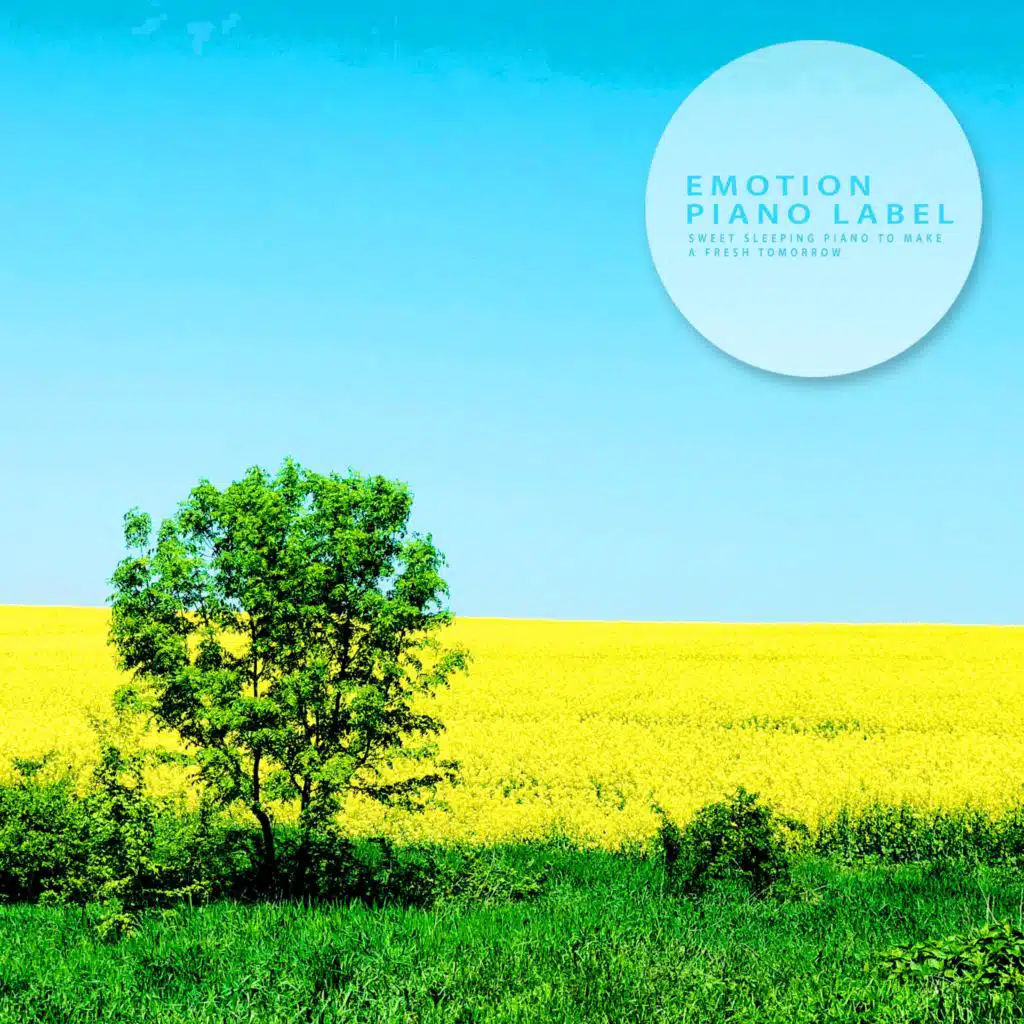 Sweet Sleeping Piano To Make A Fresh Tomorrow