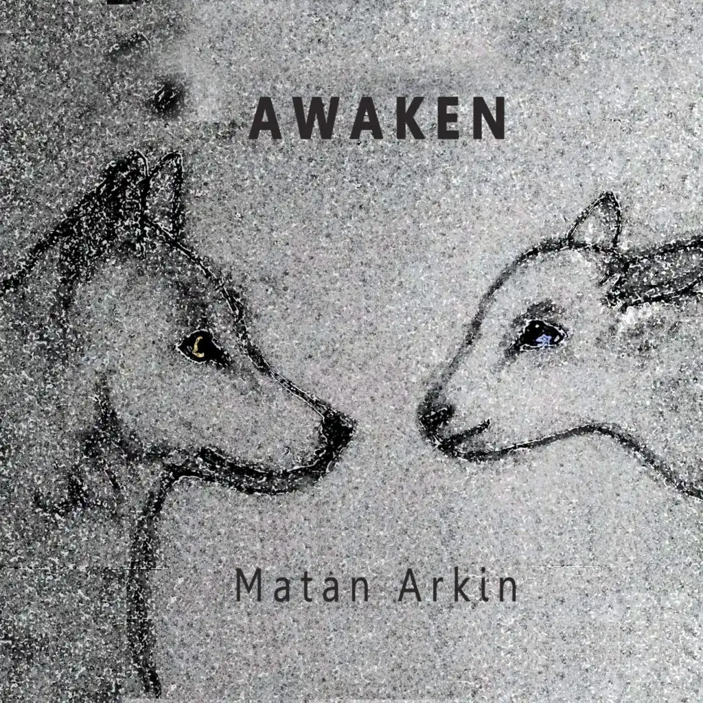 Matan Arkin