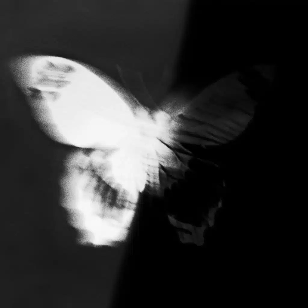 寻找自己的25号底片