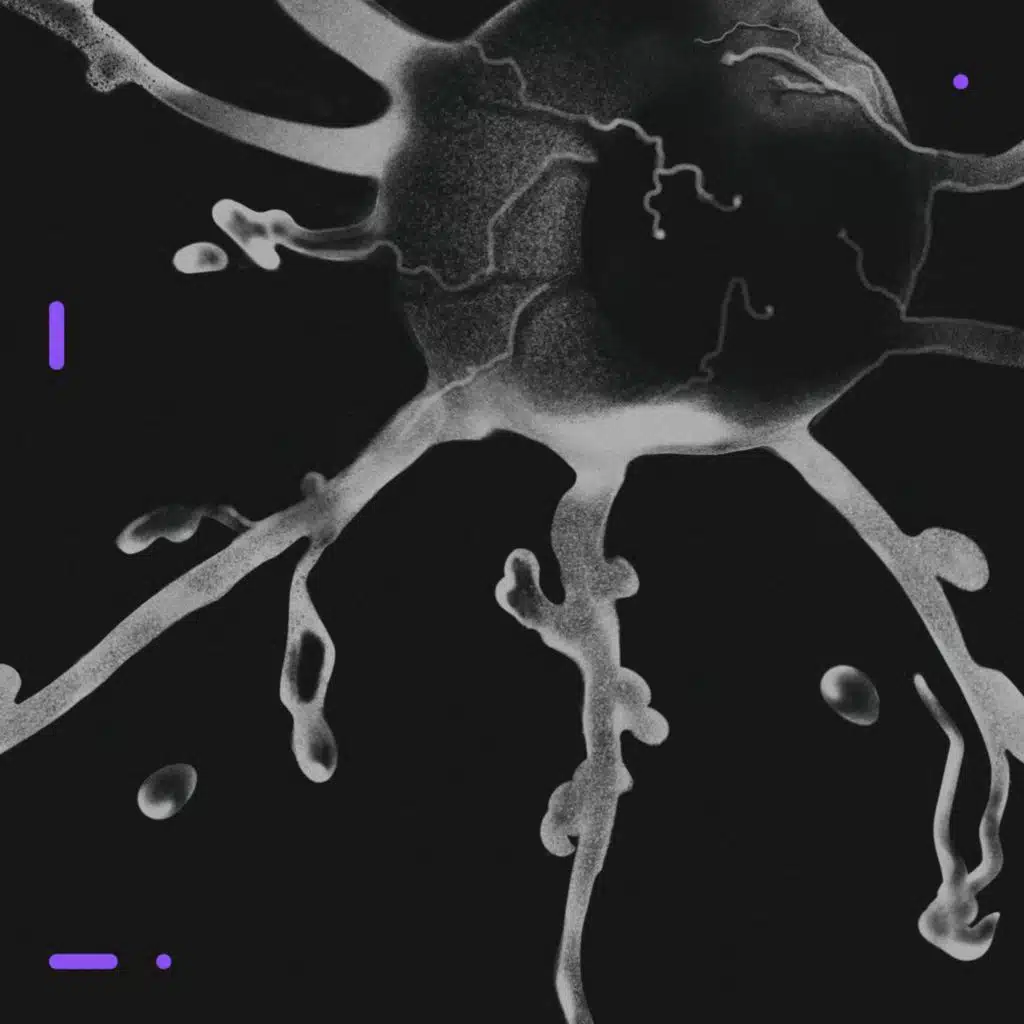 BLED, Sławek Koryzno & Emil Miszk