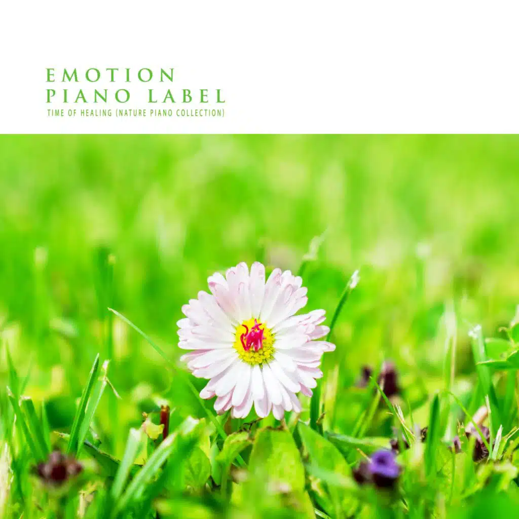 Time Of Healing (Nature Piano Collection) (Nature Ver.)