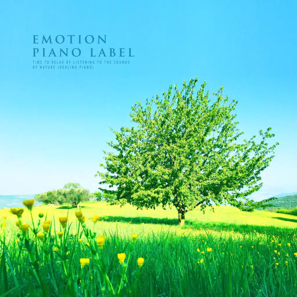 Time To Relax By Listening To The Sounds Of Nature (Healing Piano) (Nature Ver.)