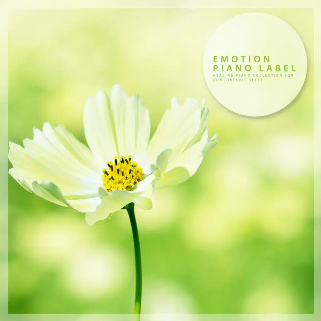 Healing Piano Collection For Comfortable Sleep