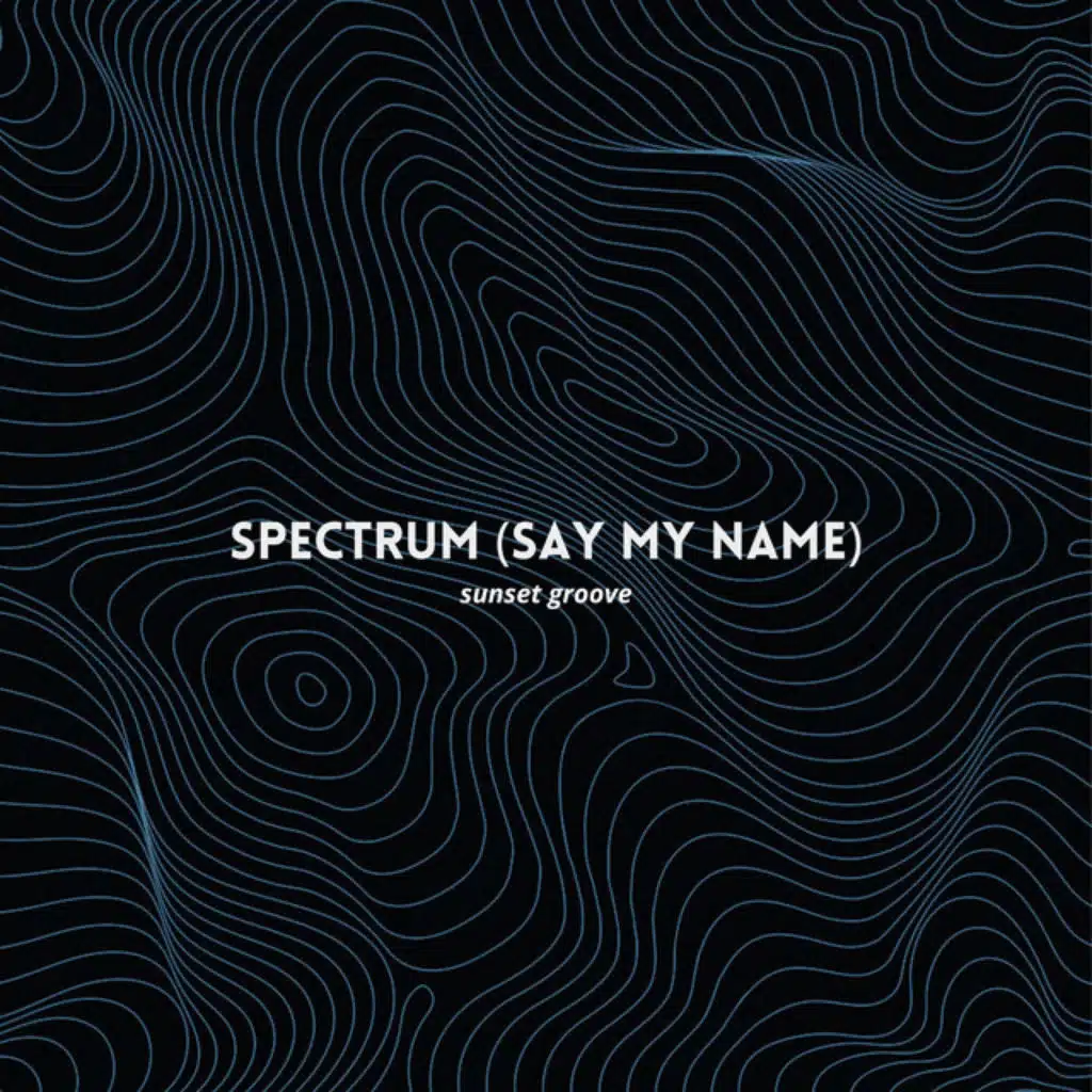 Spectrum (Say My Name)