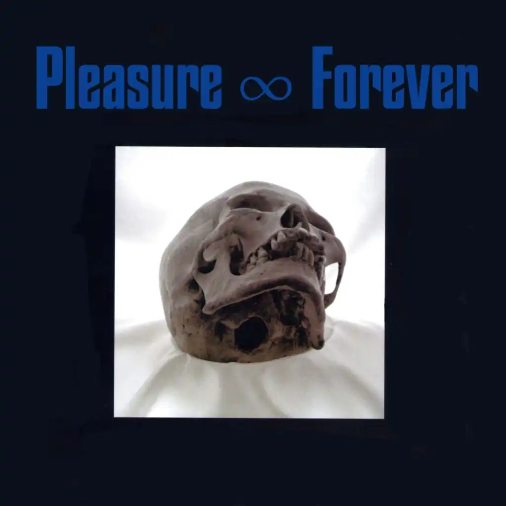 Pleasure Forever