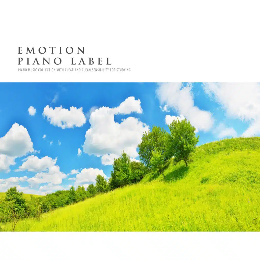 Piano Music Collection With Clear And Clean Sensibility For Studying
