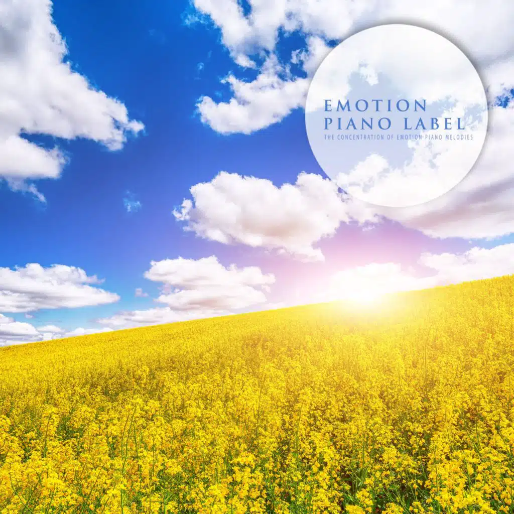 The Concentration Of Emotion Piano Melodies