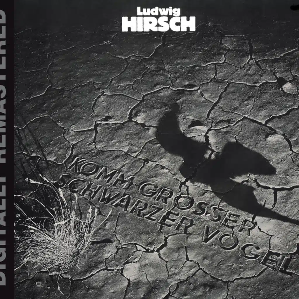 Komm, großer schwarzer Vogel