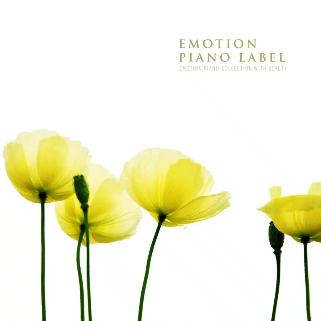 Emotion Piano Collection With Beauty