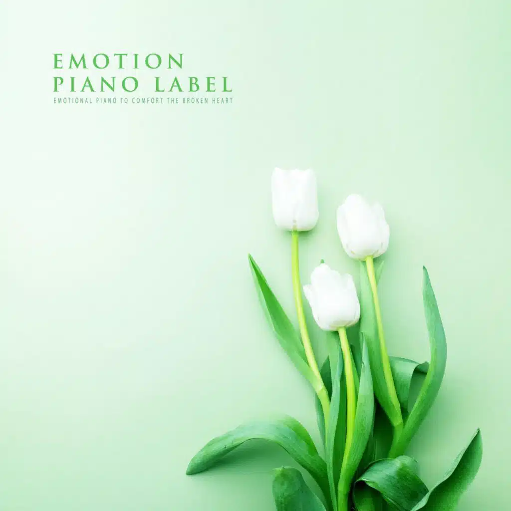 Emotional Piano To Comfort The Broken Heart