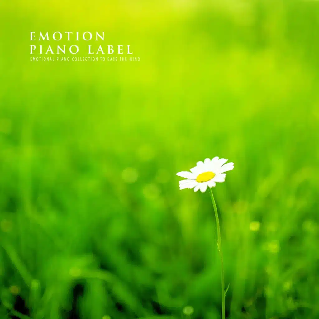 Emotional Piano Collection To Ease The Mind
