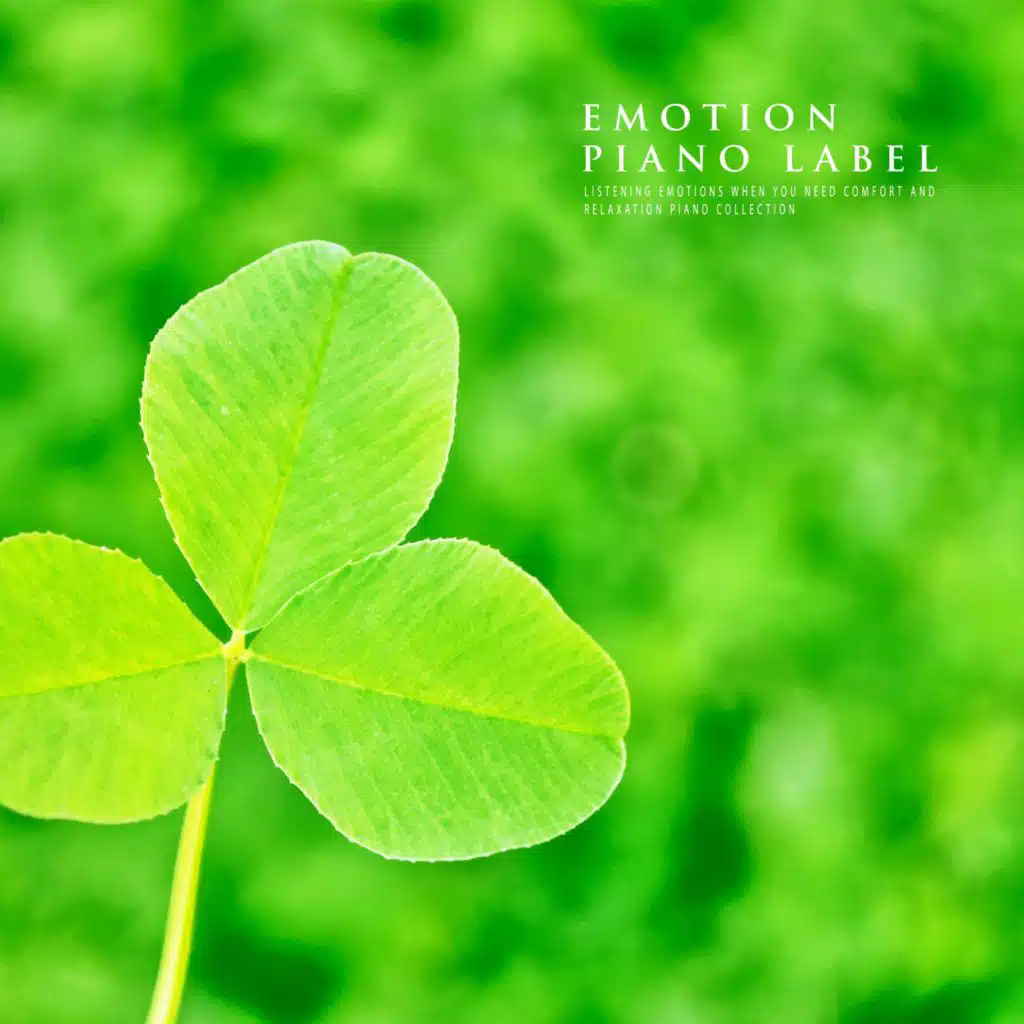 Listening Emotions When You Need Comfort And Relaxation Piano Collection