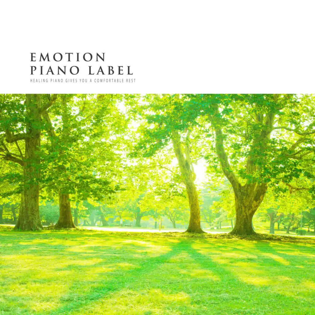 Healing Piano Gives You A Comfortable Rest