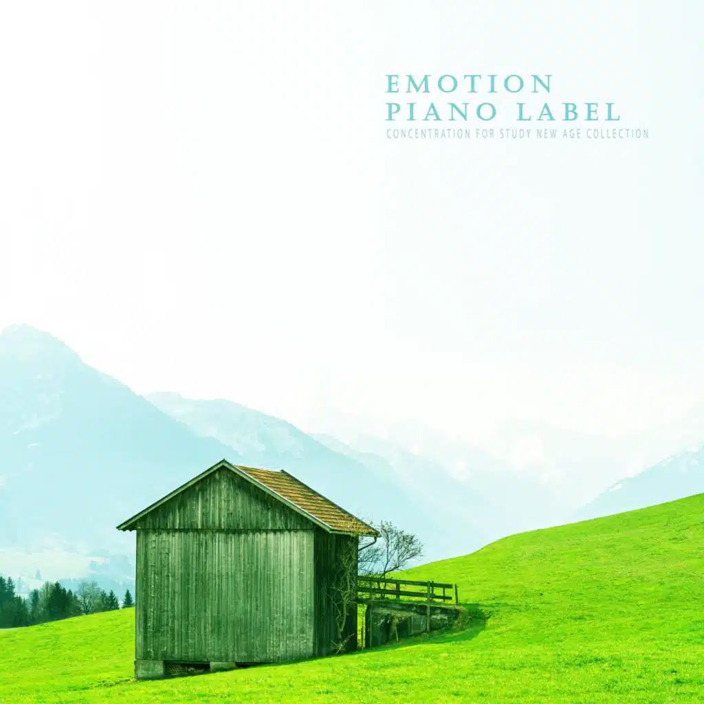 Concentration For Study New Age Collection