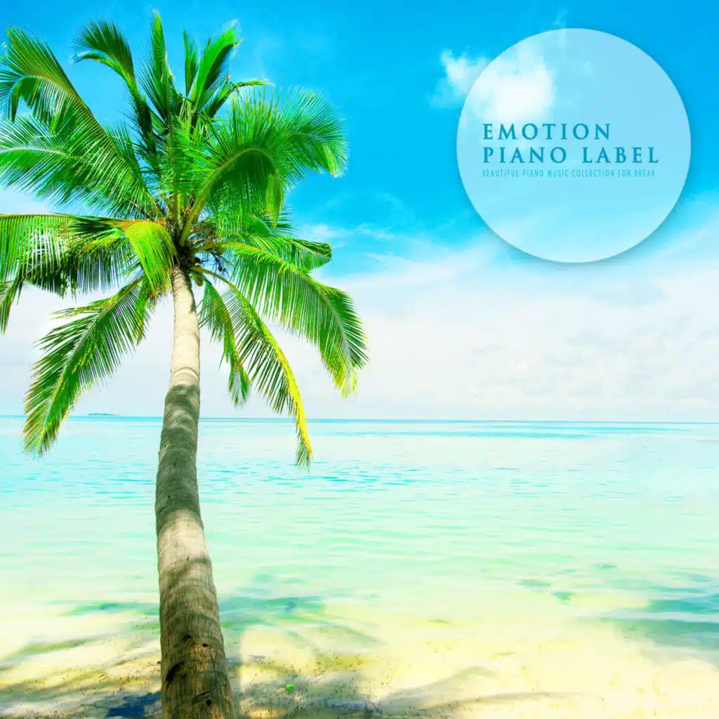 Beautiful Piano Music Collection For Break