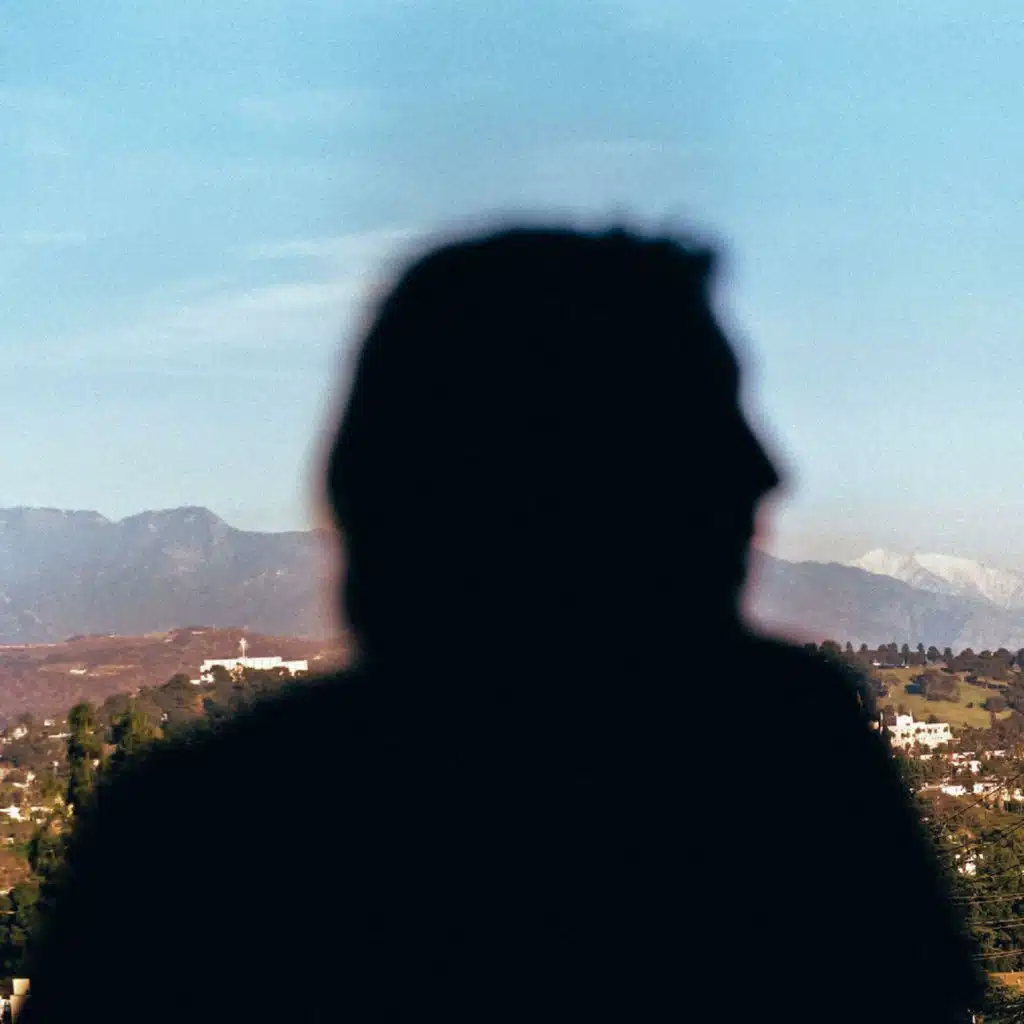 Stand In The Shadows