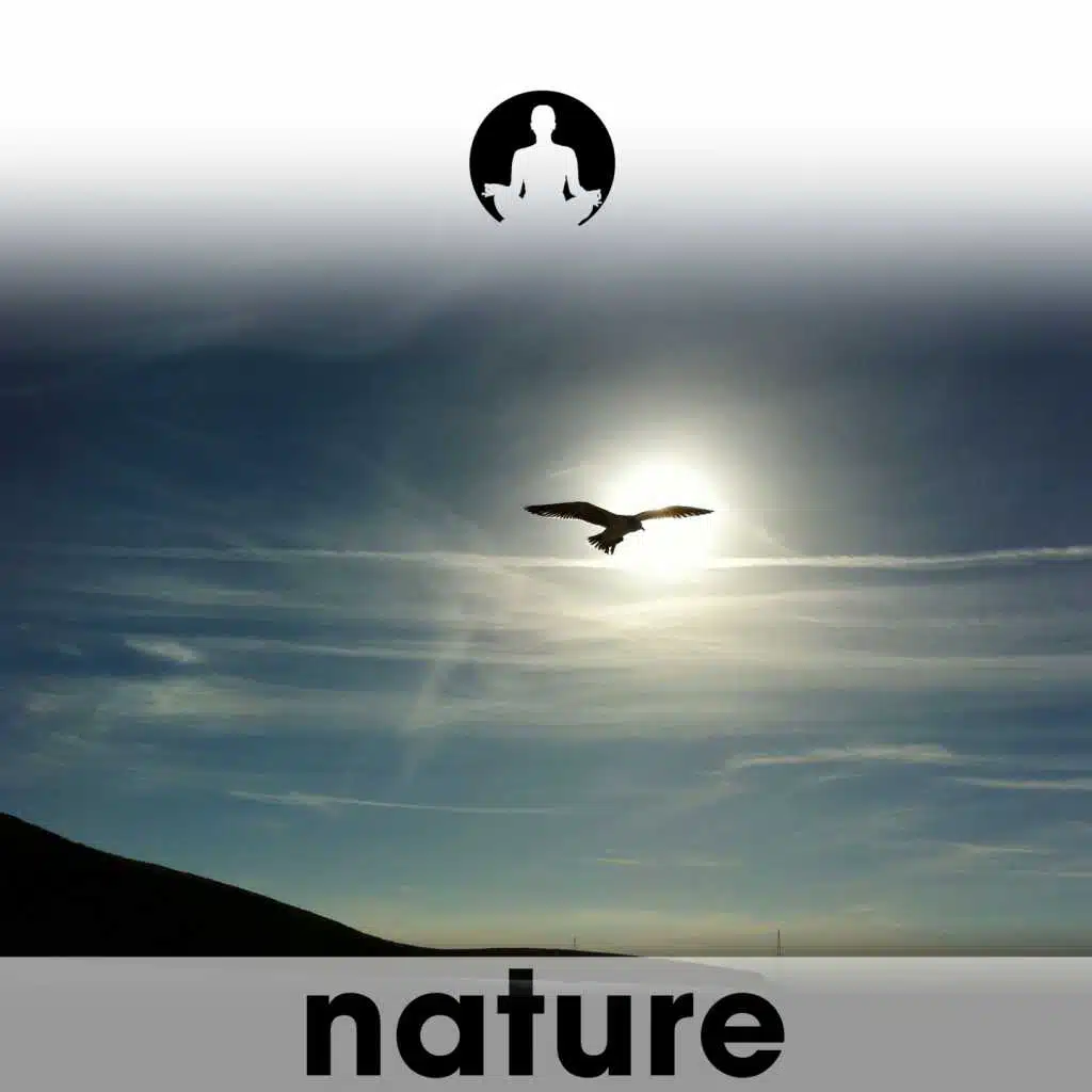 Music to Quiet the Mind