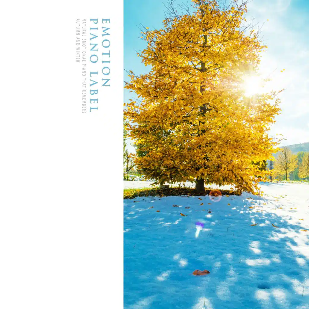 Natural Emotional Piano That Remembers Autumn And Winter (Nature Ver.)