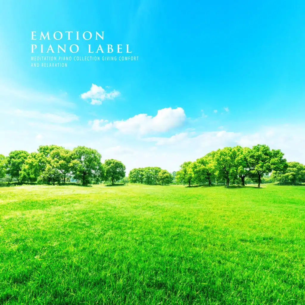 Meditation Piano Collection Giving Comfort And Relaxation
