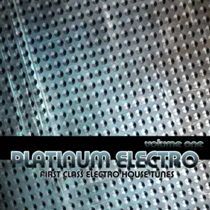 Platinum Electro Volume 1 (First Class Electro House Tunes)