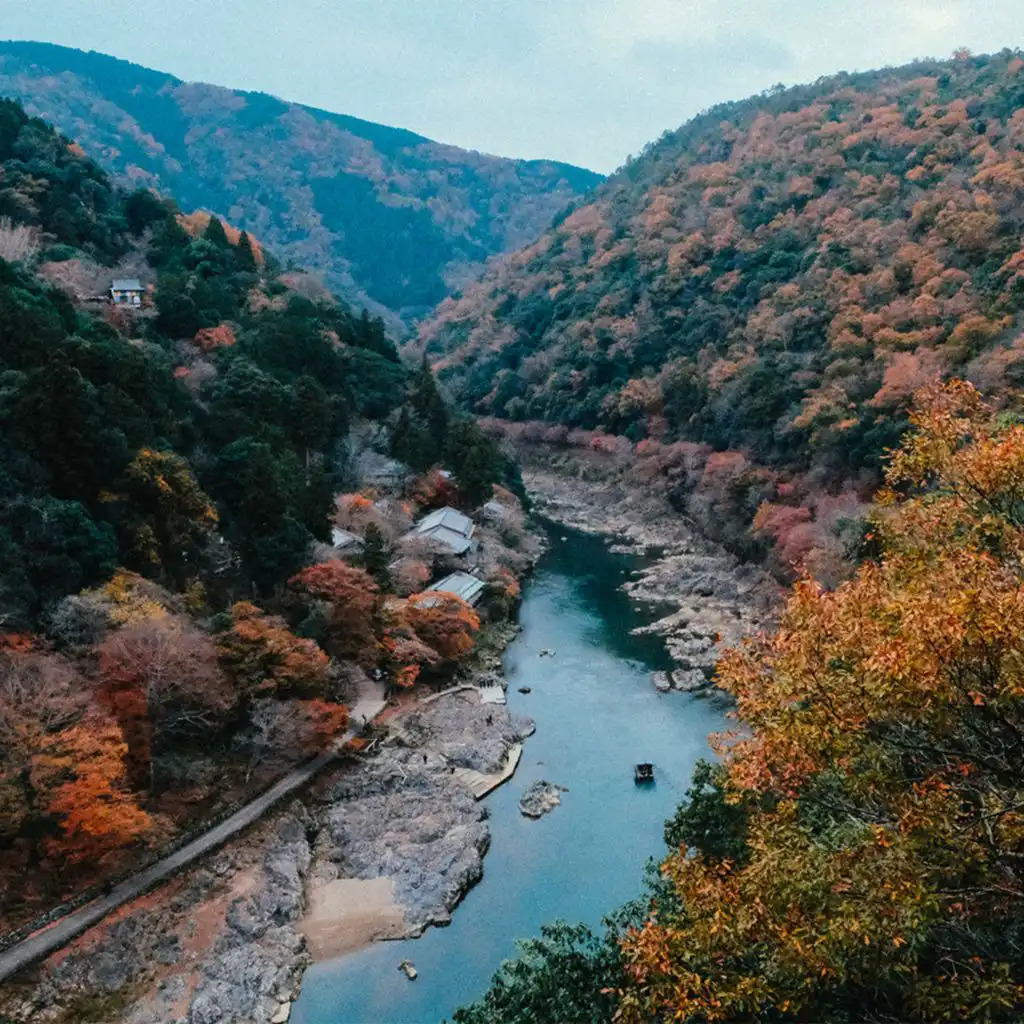 Journey to the North