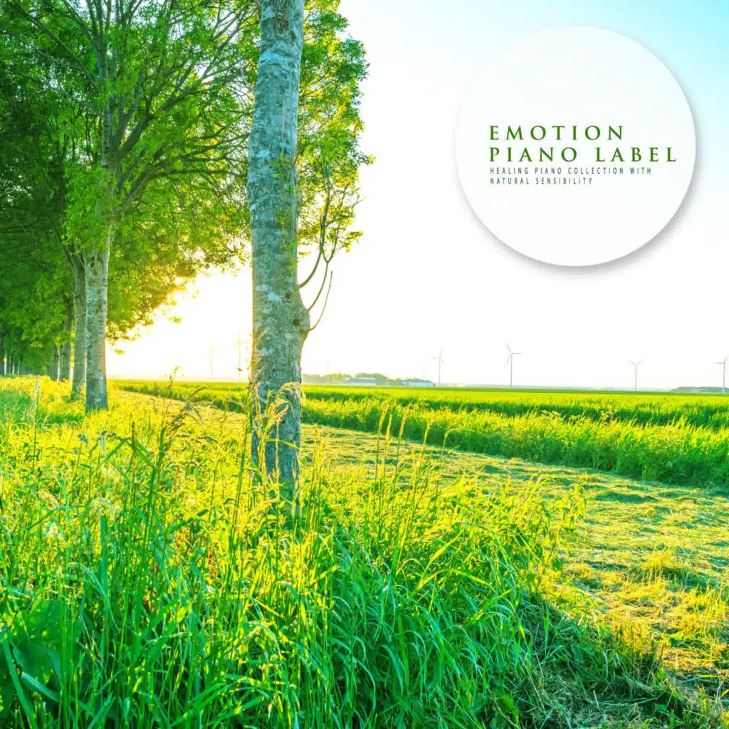 Healing Piano Collection With Natural Sensibility (Nature Ver.)