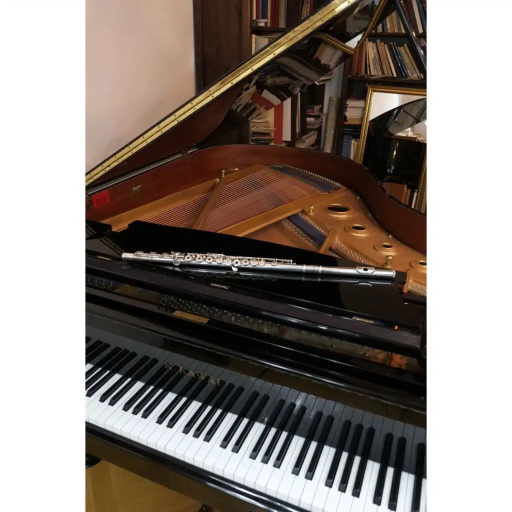 Microscope (four brief essays for wind trio)-Darkly (1995)