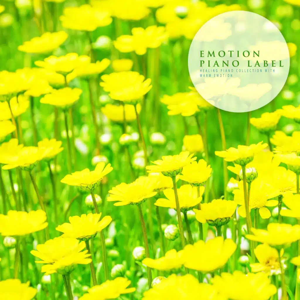 Healing Piano Collection With Warm Emotion