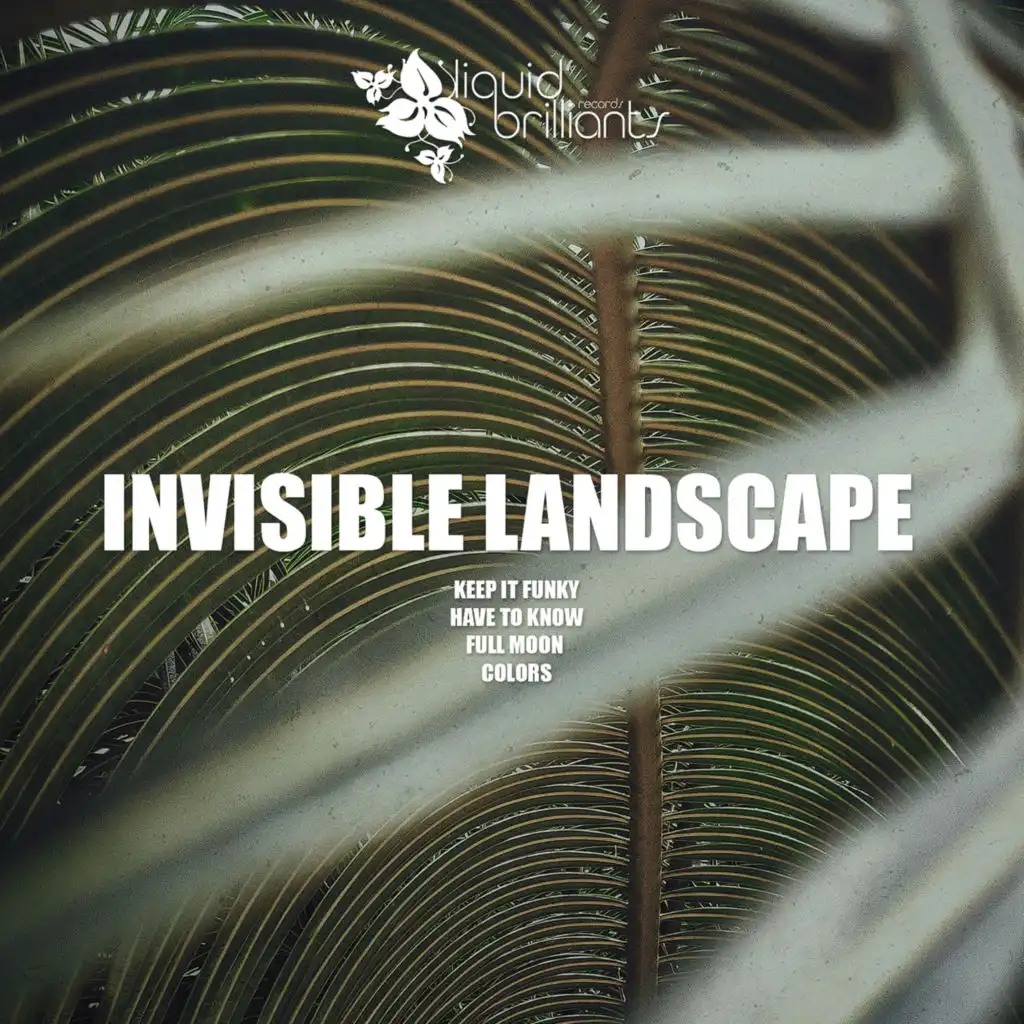 Invisible Landscape