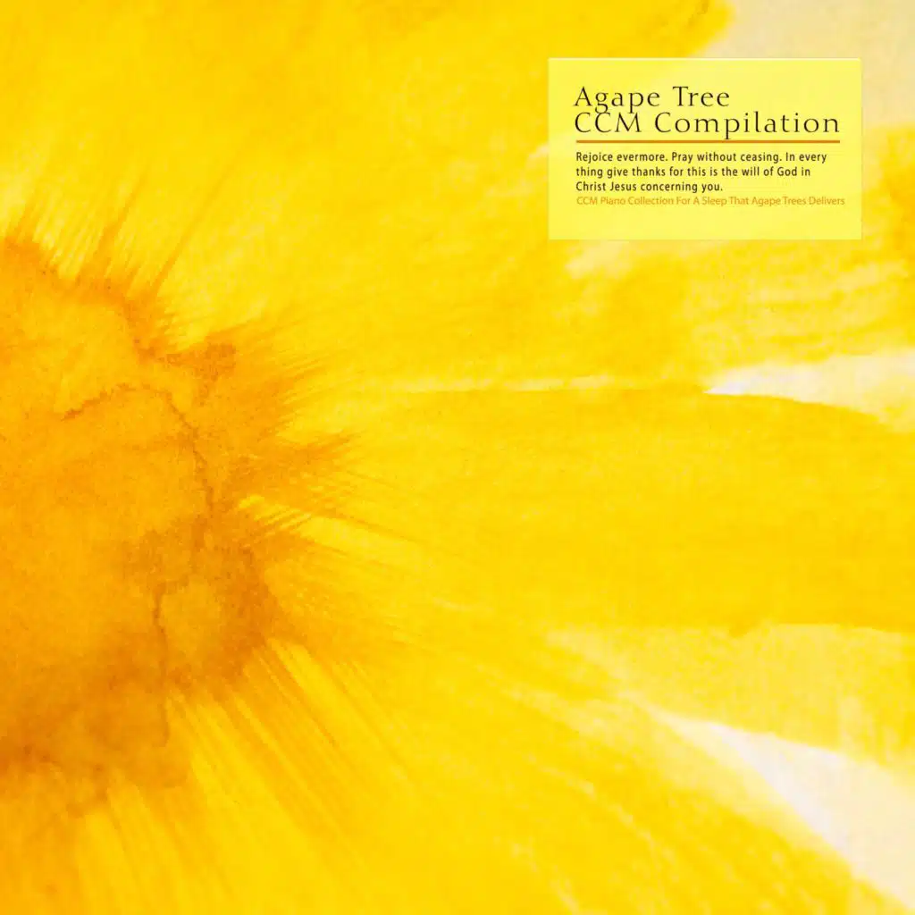 CCM Piano Collection For A Sleep That Agape Trees Delivers