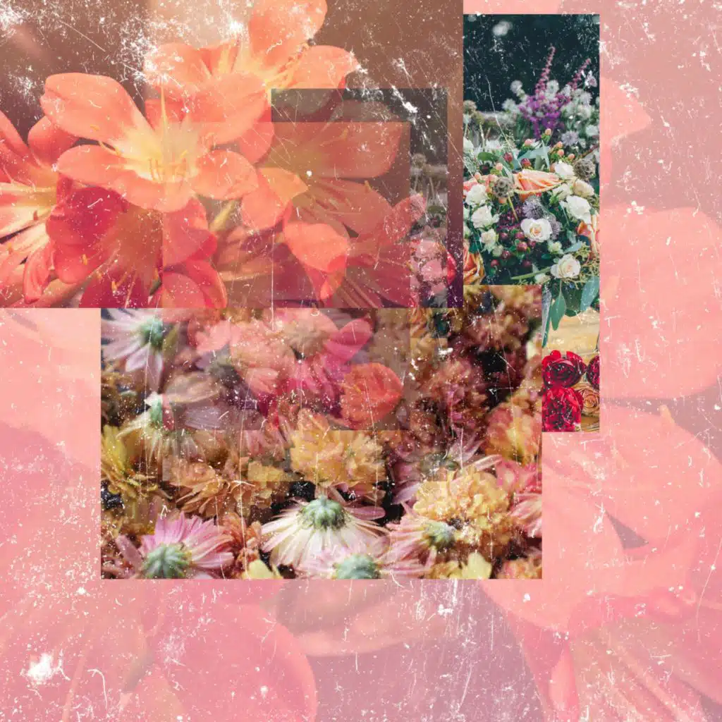 Ai Mà Biết Được