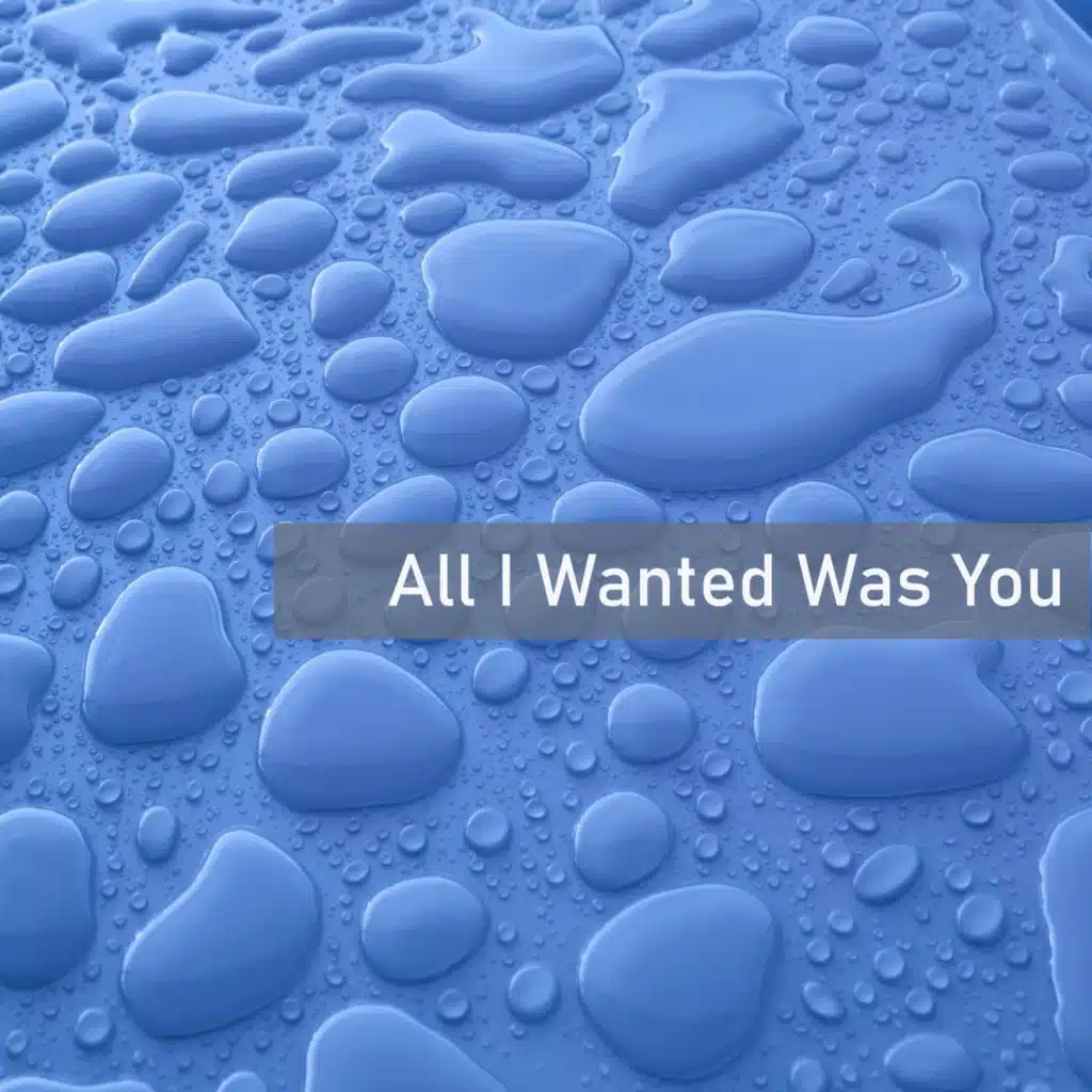 All I Wanted Was You