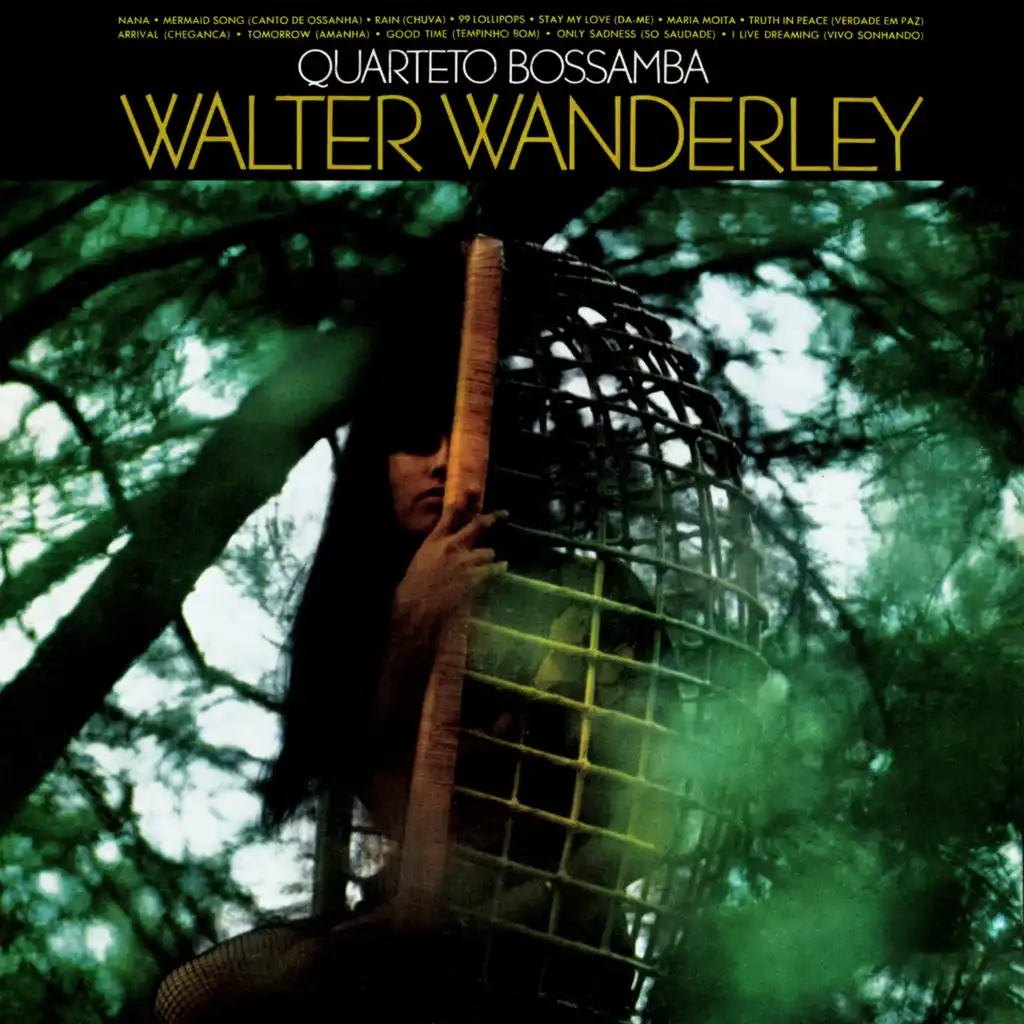 Walter Wanderley