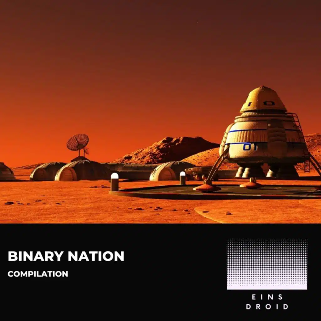 Binary Nation