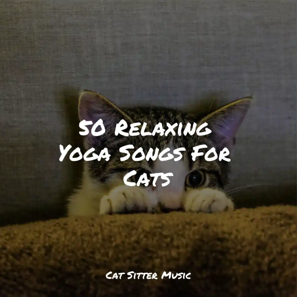 Chill Before Snoozing