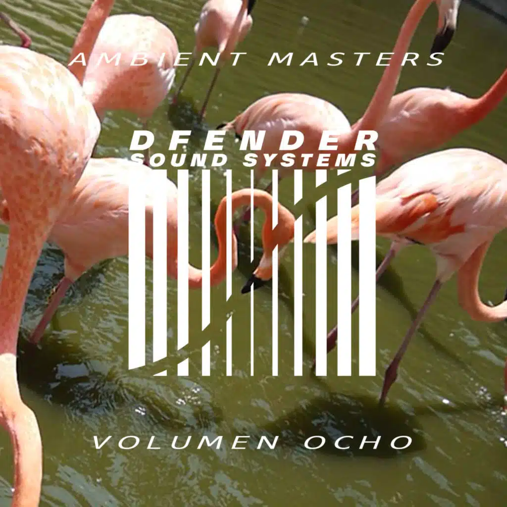 Ambient Masters Vol.8
