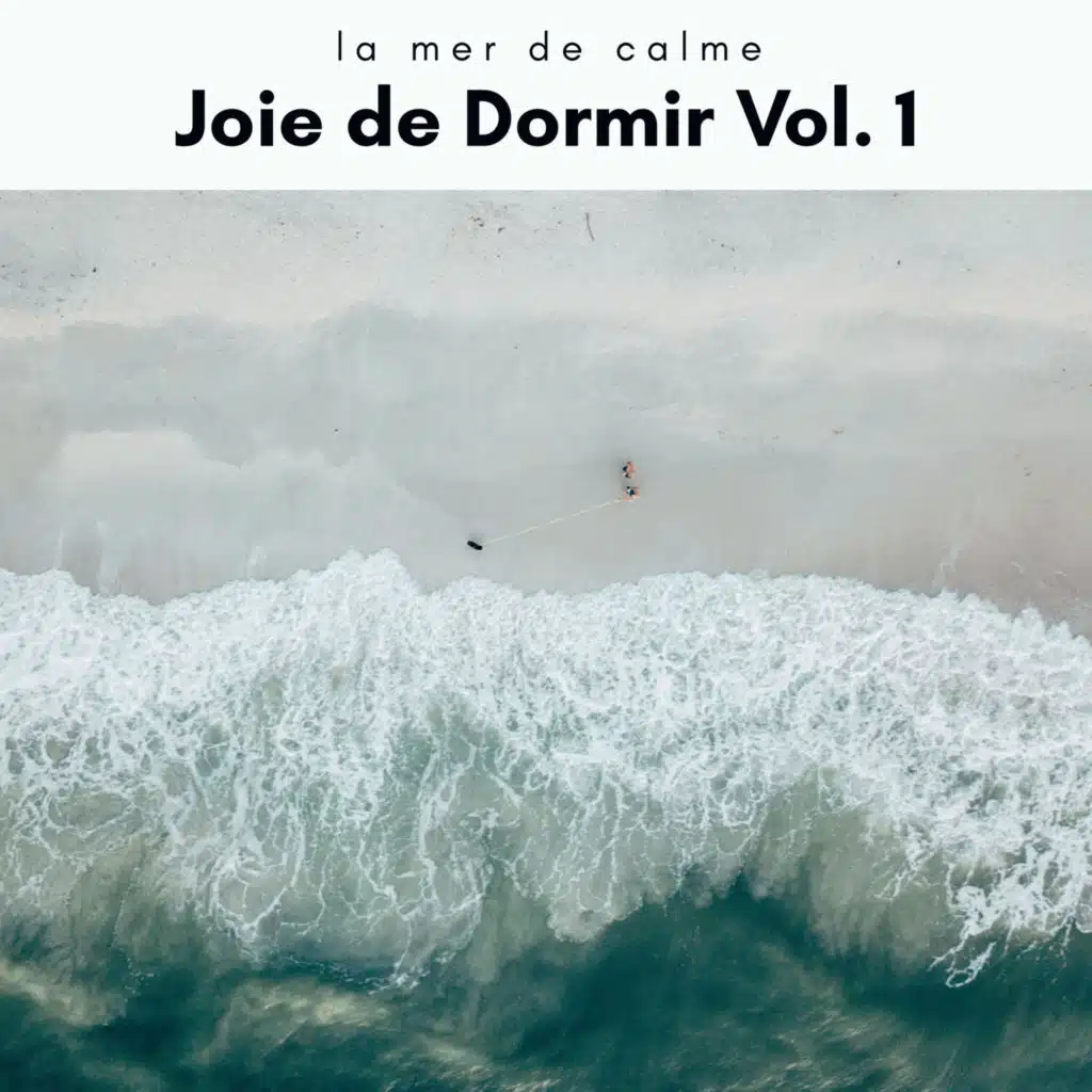 Joie de Dormir Vol. 1 (feat. Naturaleza Sonidos, Sonidos De Aves & Fresh Water Sounds)