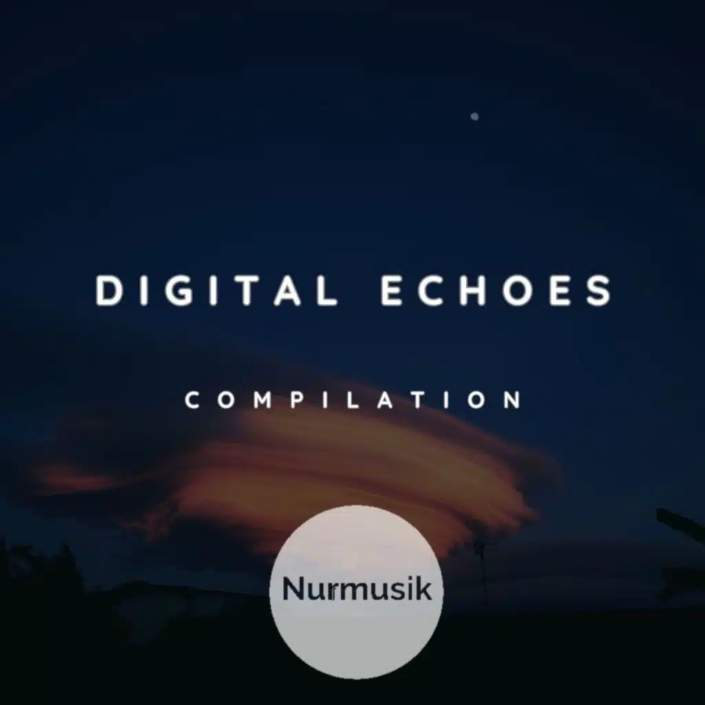 Digital Echoes