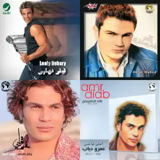 amr diab