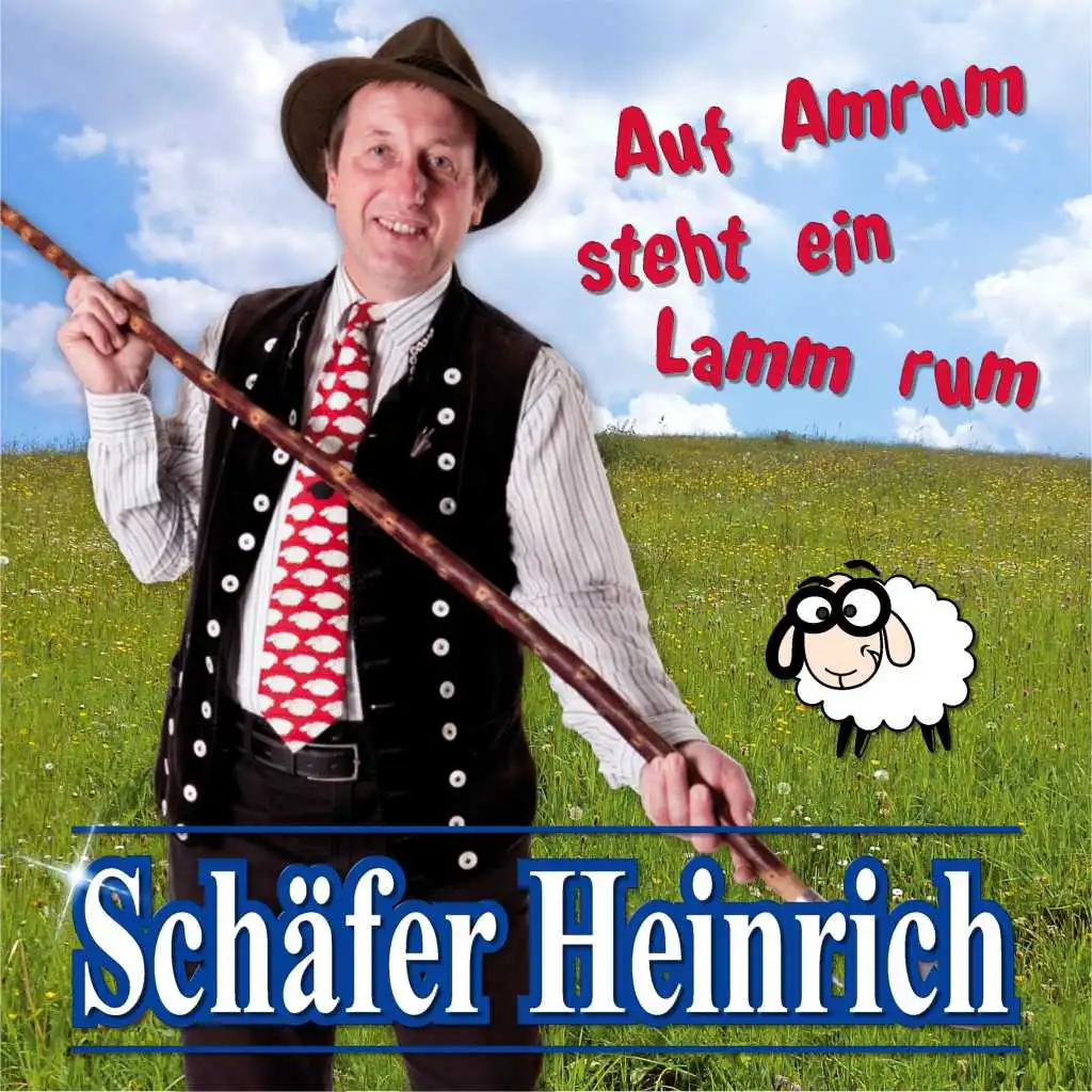 Auf Amrum steht ein Lamm rum