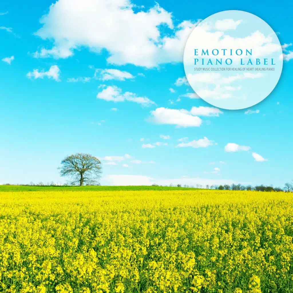 Study Music Collection For Healing Of Heart (Healing Piano)