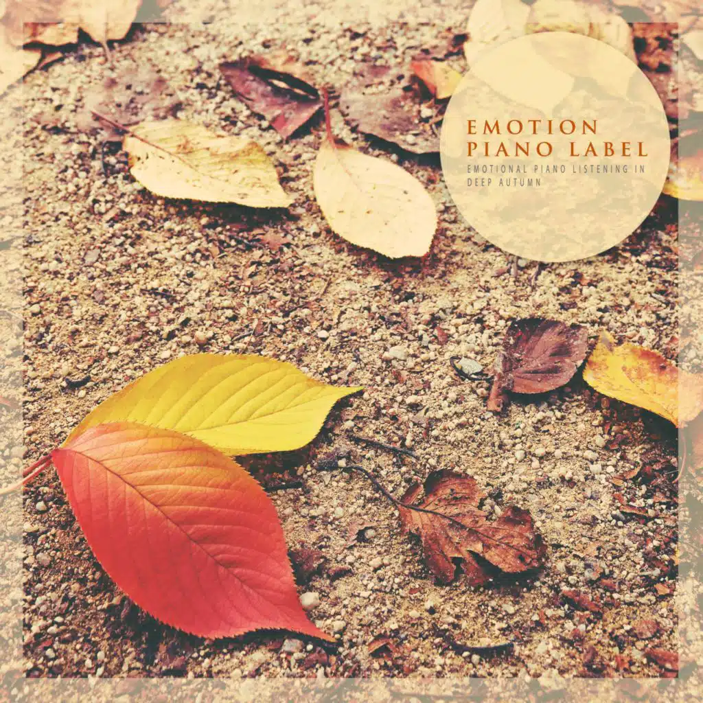 Emotional Piano Listening In Deep Autumn