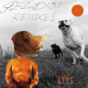 Geldof (Remixes)