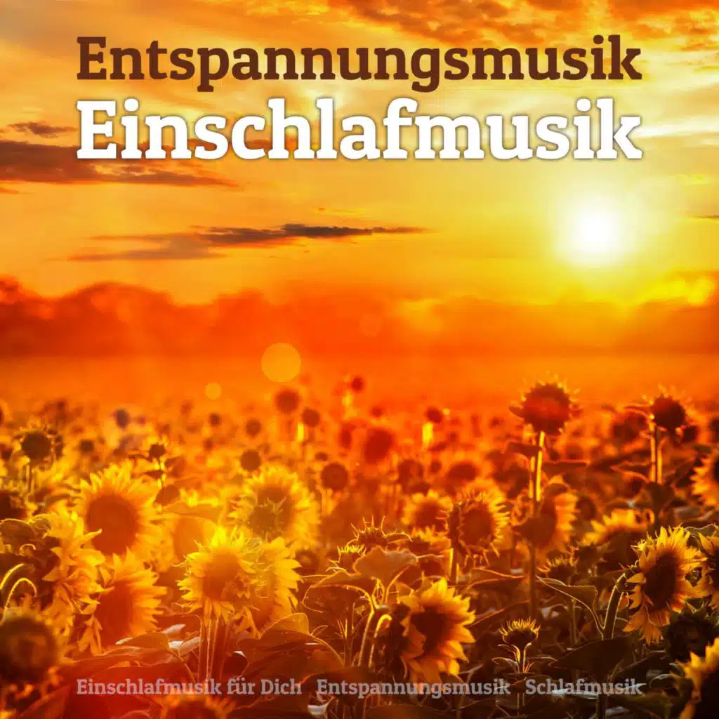Entspannungsmusik Einschlafmusik