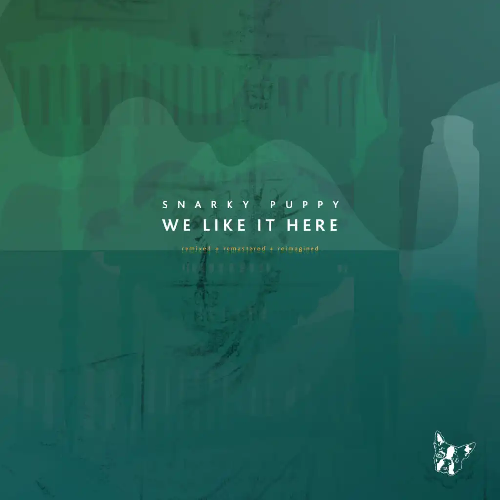 We Like It Here (Remixed + Remastered + Reimagined)