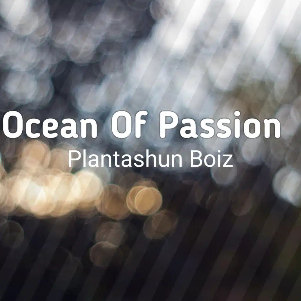 Ocean Of Passion
