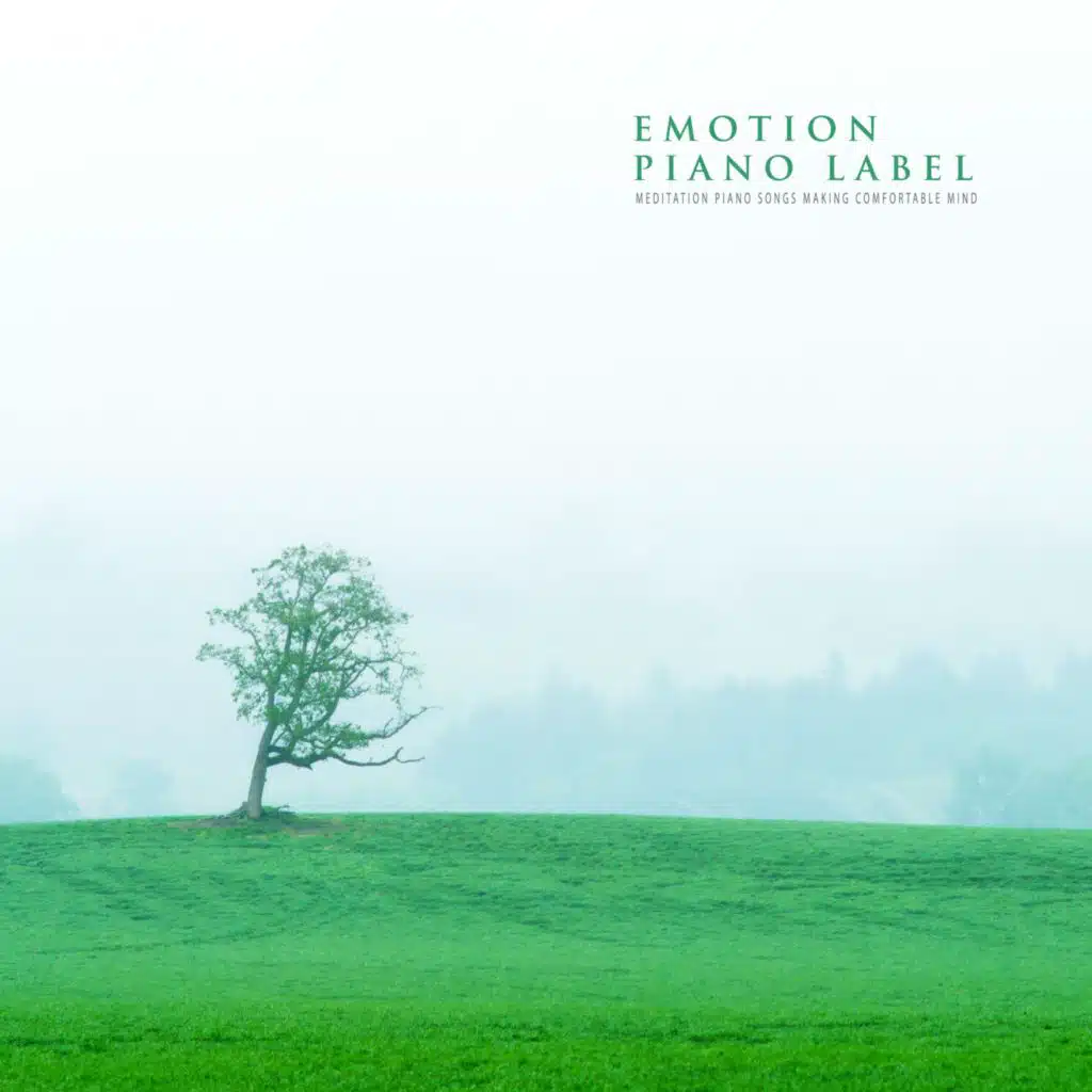 Meditation Piano Songs Making Comfortable Mind
