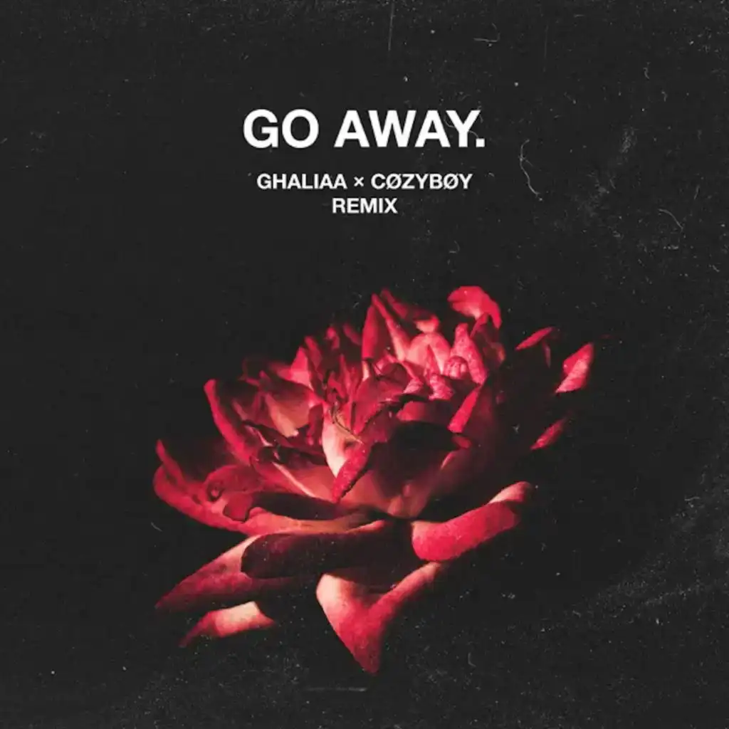 Go Away (Remix)